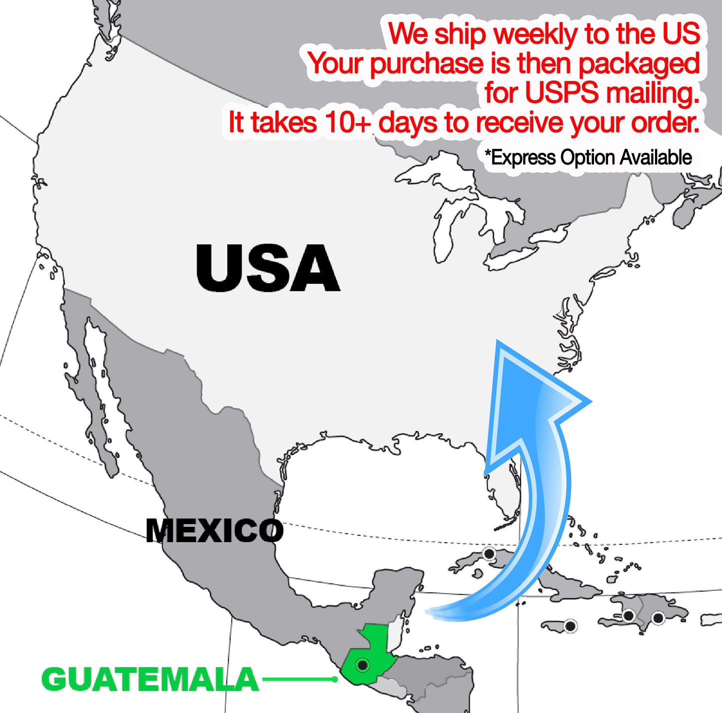 Custom Logo Tote Bags on Natural Cotton, Printed Fabric Shopping Market Bags