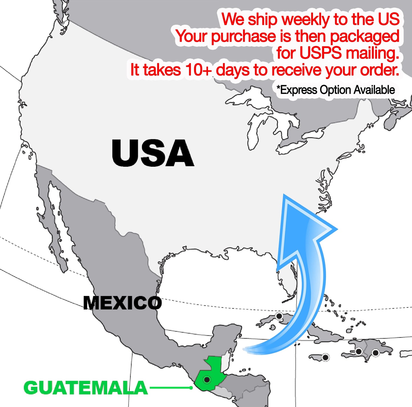 Pink Tiger Stripes Fabric By The Yard, Black and Fuchsia Pink Pattern Printed on the fabric of your choice